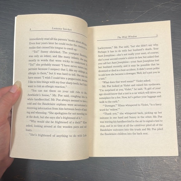 Lemony Snicket A Series of Unfortunate Events The Wide Window paperback book - Picture 7 of 12